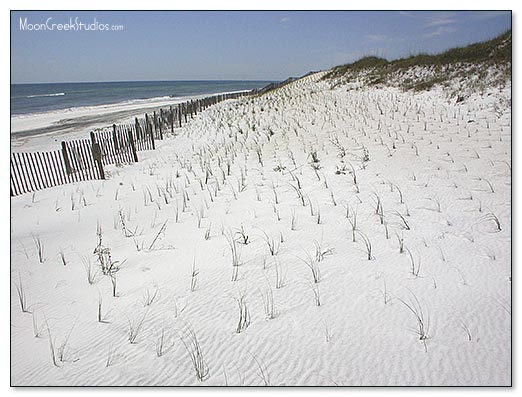 Beaches of South Walton Photograph