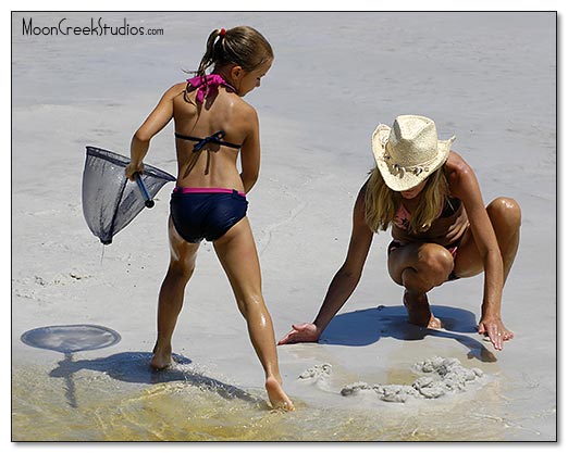 Beaches of South Walton Photograph