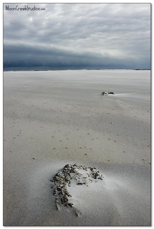 Beaches of South Walton Photograph