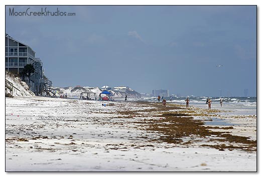 Beaches of South Walton Photograph