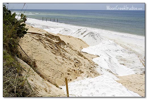 Beaches of South Walton Photograph