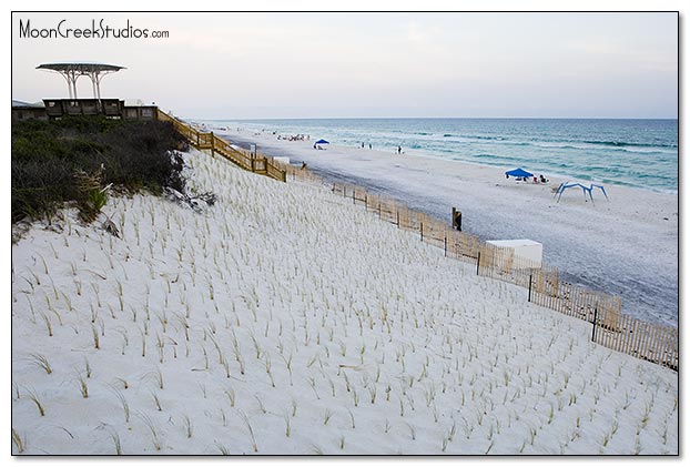 Beaches of South Walton Photograph