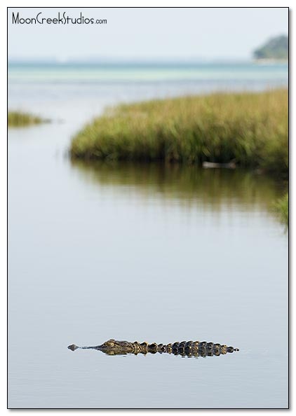 Beaches of South Walton Photograph