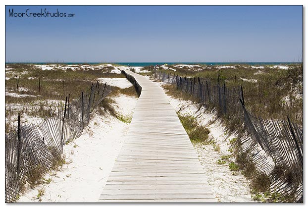 Beaches of South Walton Photograph