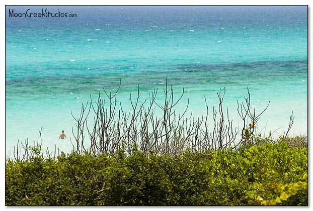 Beaches of South Walton Photograph