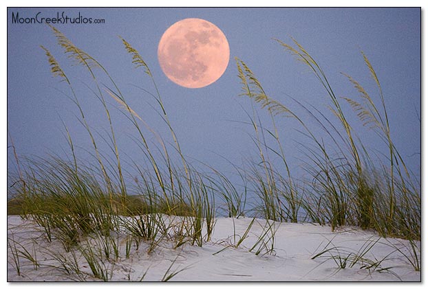 Beaches of South Walton Photograph