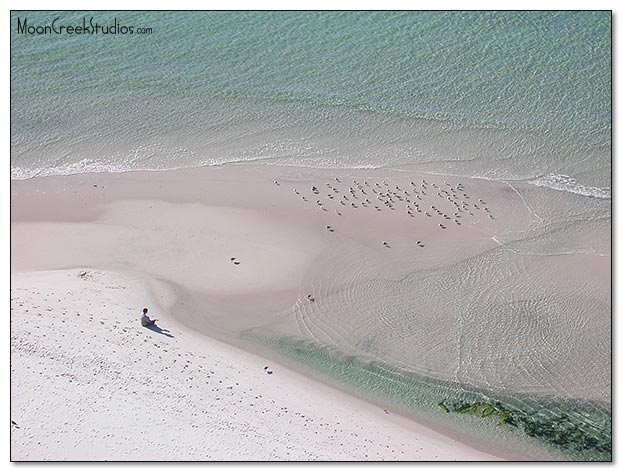 Beaches of South Walton Photograph