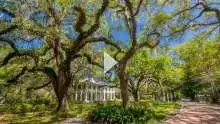 Grayton Beach Coral Reef Video Reveals Hidden Beauty