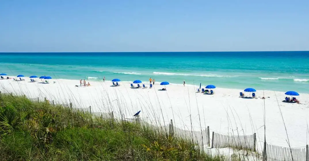 Seaside Dune Restoration Project Underway