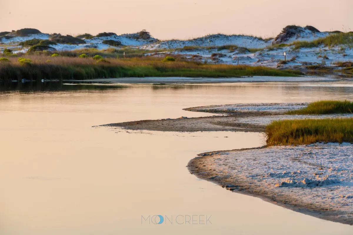 Moon Creek Gallery