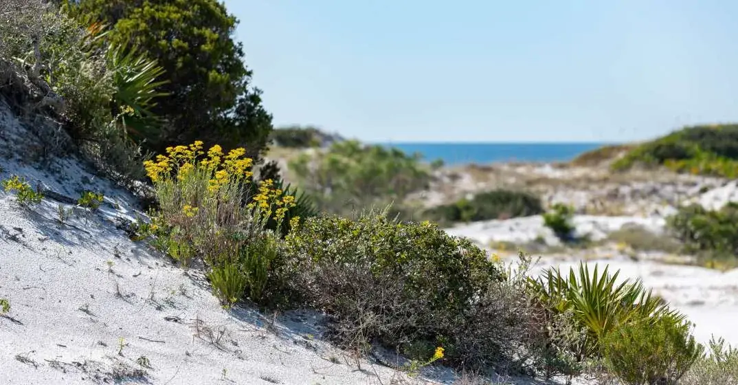 Deer Lake State Park Reopens With Improvements