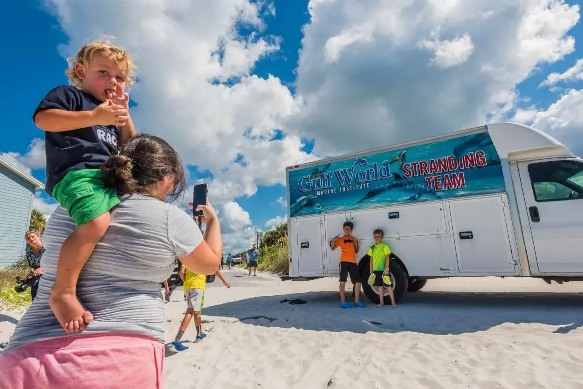 Gulf World Marine Park Sea Turtle Release At Inlet Beach