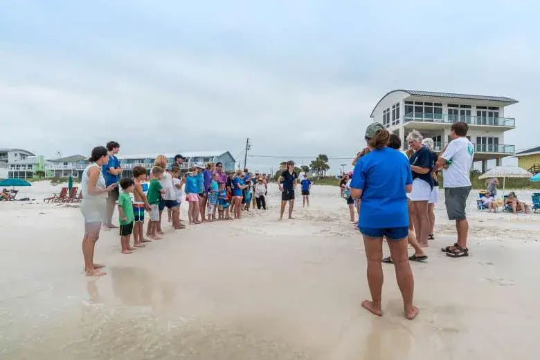 Gulf World Marine Institute Releases Two Sea Turtles in Inlet Beach
