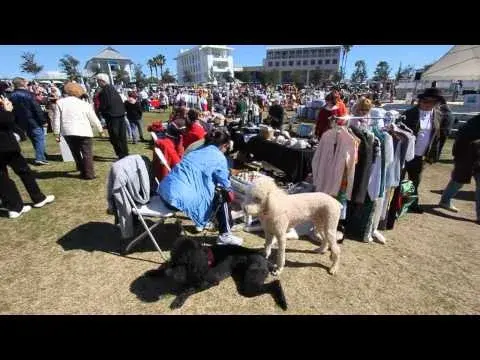 Seaside Community Yard Sale 2011 Video