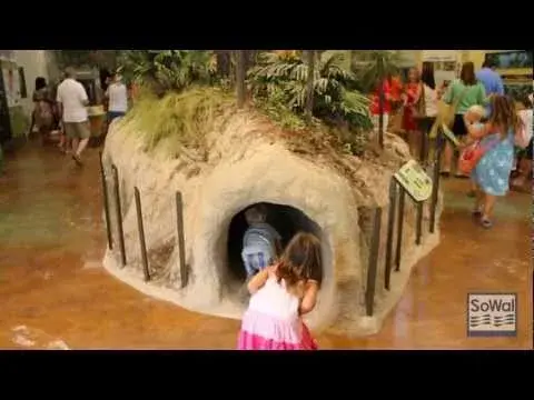 E.O. Wilson Biophilia Center Grand Opening Video