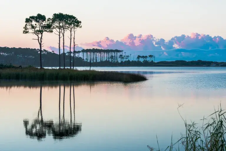 Grayton Beach State Park