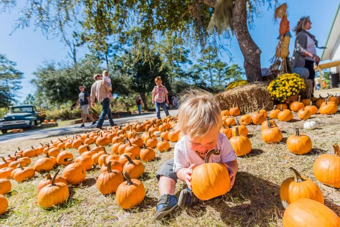 Arnett’s Pumpkin Fest 2016